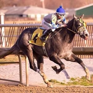 Meet your Posher, Wesley